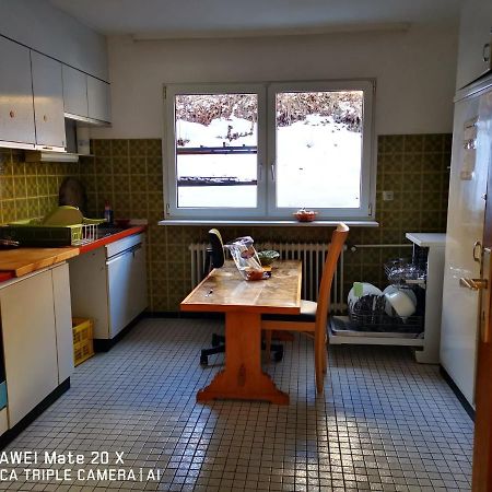 Rosen Garten Haus Titisee-Neustadt Dış mekan fotoğraf