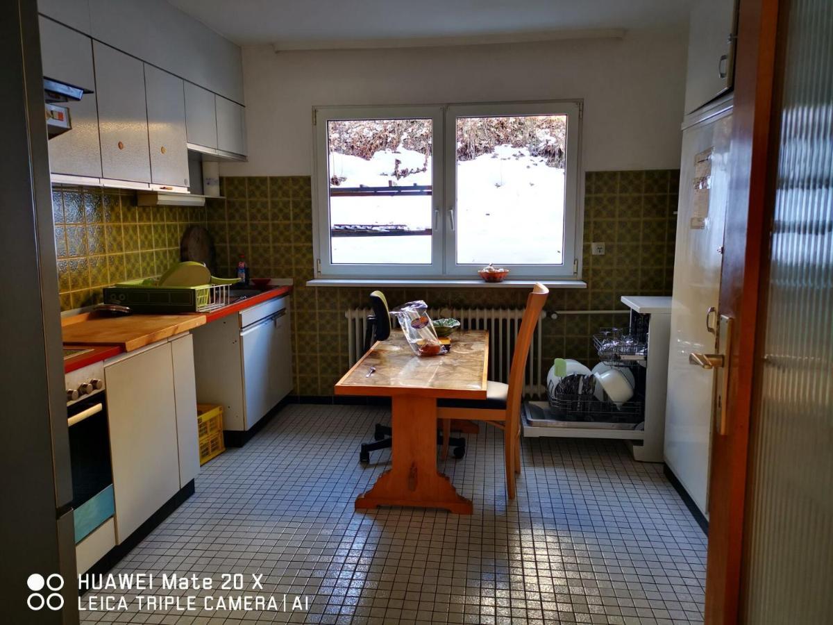 Rosen Garten Haus Titisee-Neustadt Dış mekan fotoğraf